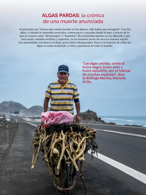 PAGINAS IN SITU 69 MEDIA4