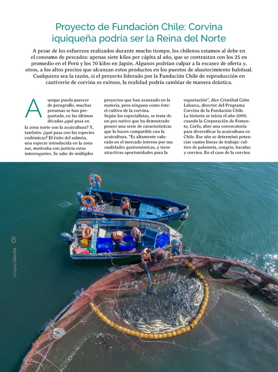 PAGINAS IN SITU 69 MEDIA8