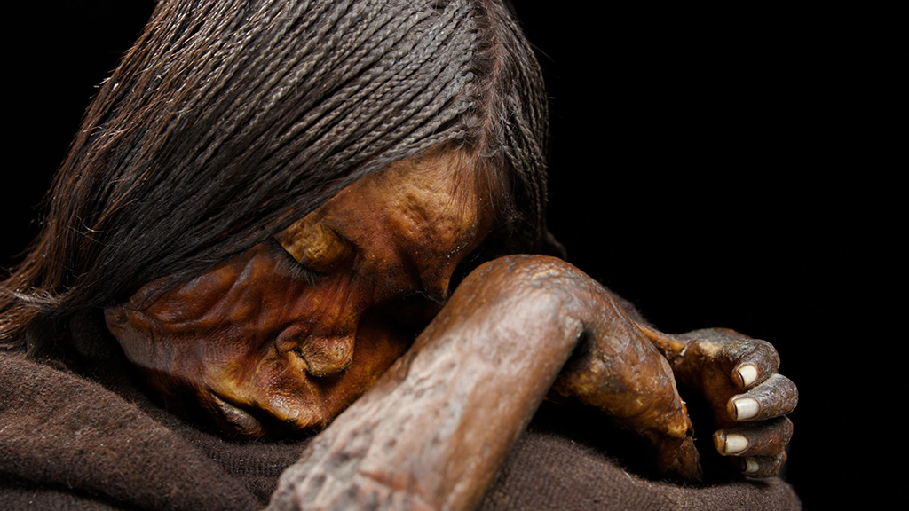 Niño