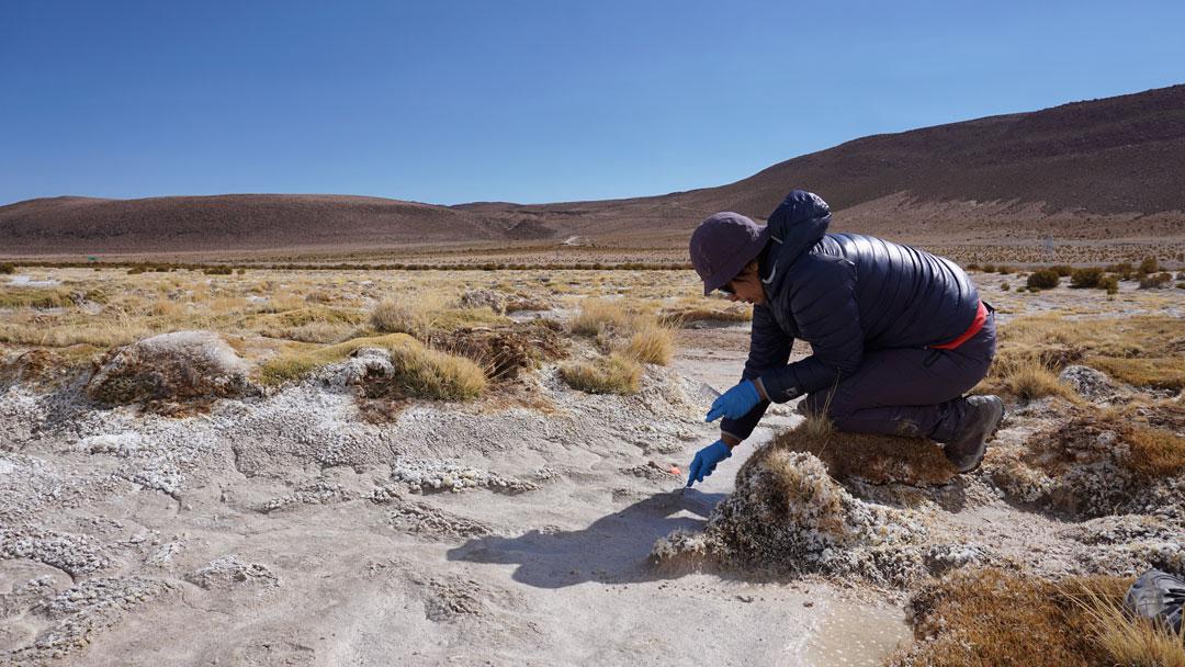 Cristina-Dorador-salar-