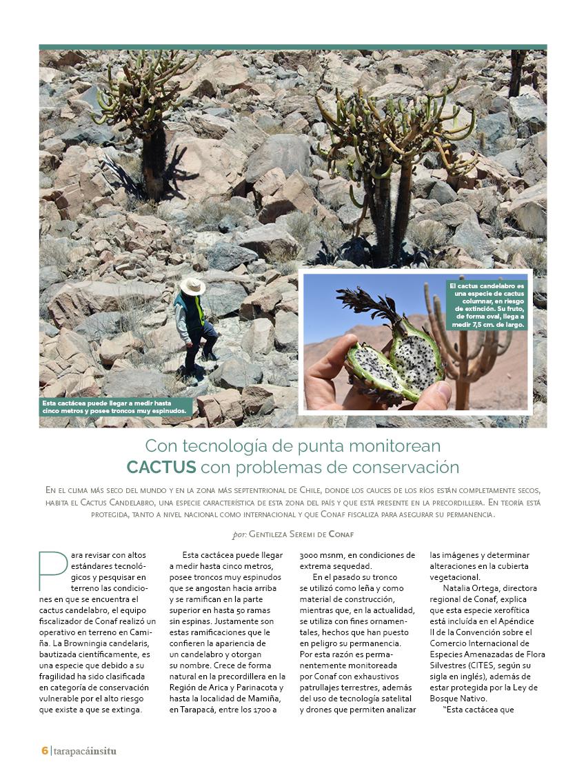 Revista Tarapacá Insitu ed45 - Página6