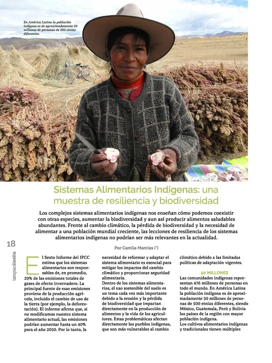 PAGINAS IN SITU 58 CALIDAD MEDIA_Página_18