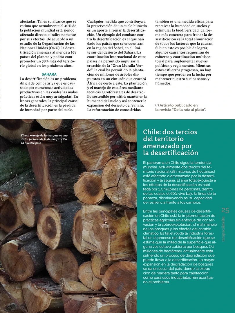 Revista Tarapacá Insitu ed 55 - Página 25
