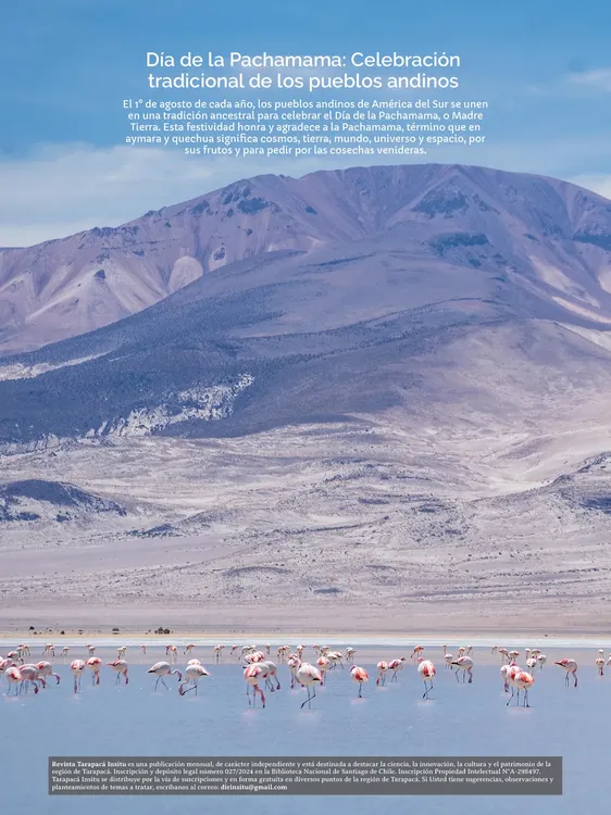 PAGINAS IN SITU 64 MEDIA3