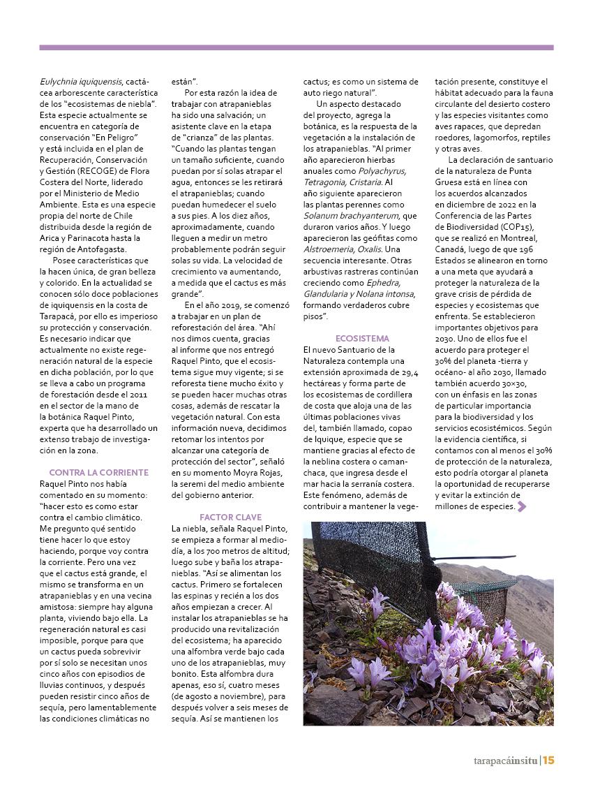 Revista Tarapacá Insitu Ed46 - Página 015