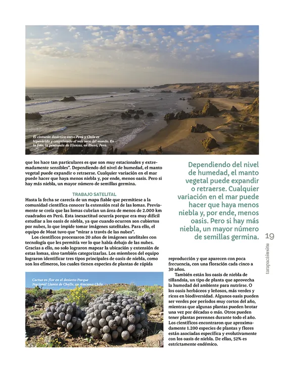 Tarapacá Insitu ed53 - Página 19