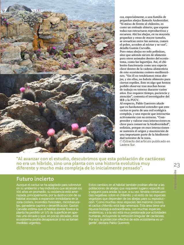 PAGINAS INSITU 78 PNG23