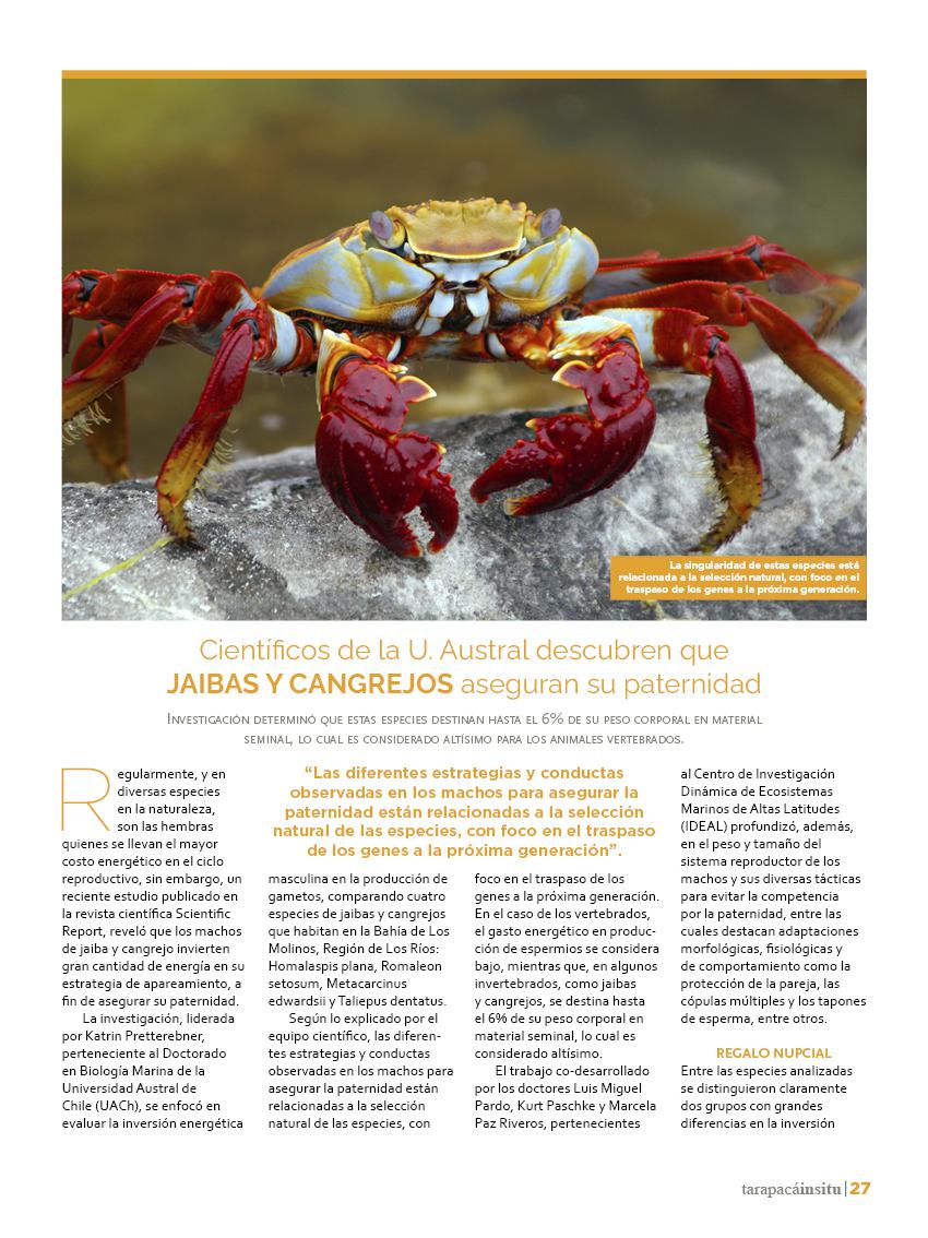 Revista Tarapacá Insitu ed48 - página27