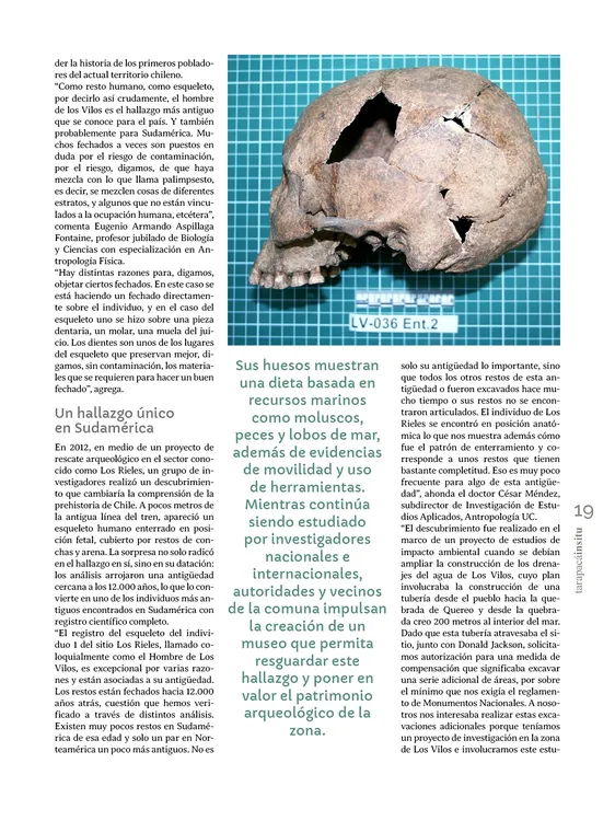 Tarapaca Insitu ed81_PNG19