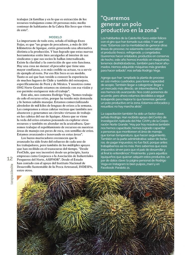 Revista Tarapacá Insitu ed54 - Página12
