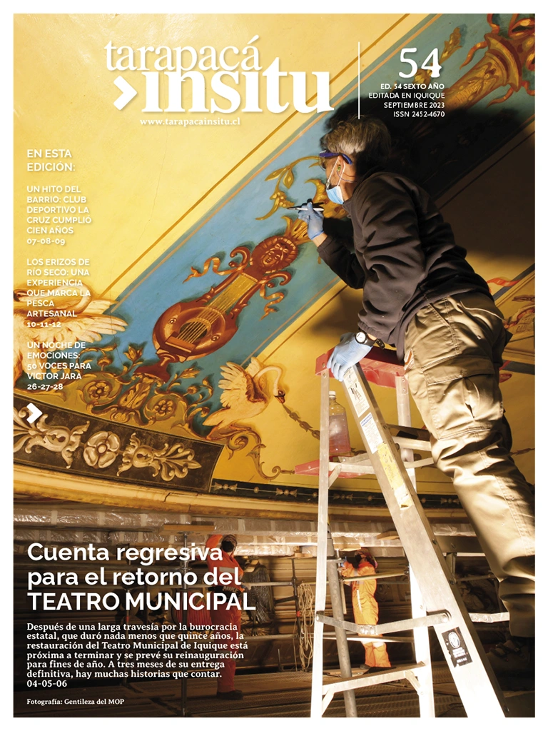Revista Tarapacá Insitu ed54 - Página
