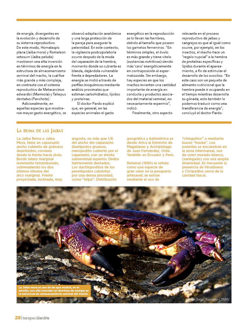 Revista Tarapacá Insitu ed48 - página28