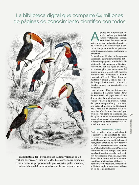 Tarapaca Insitu ed81_PNG21