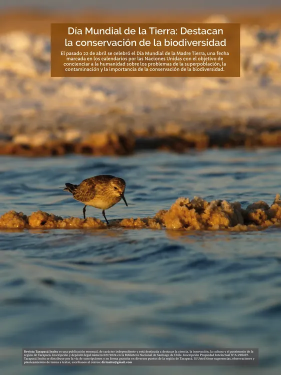 PAGINAS IN SITU PNG3