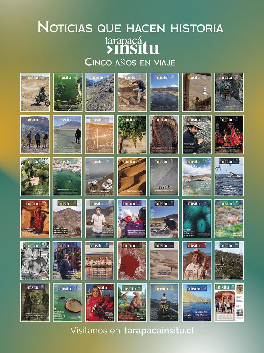 Revista Tarapacá Insitu Ed44 - Contraportada