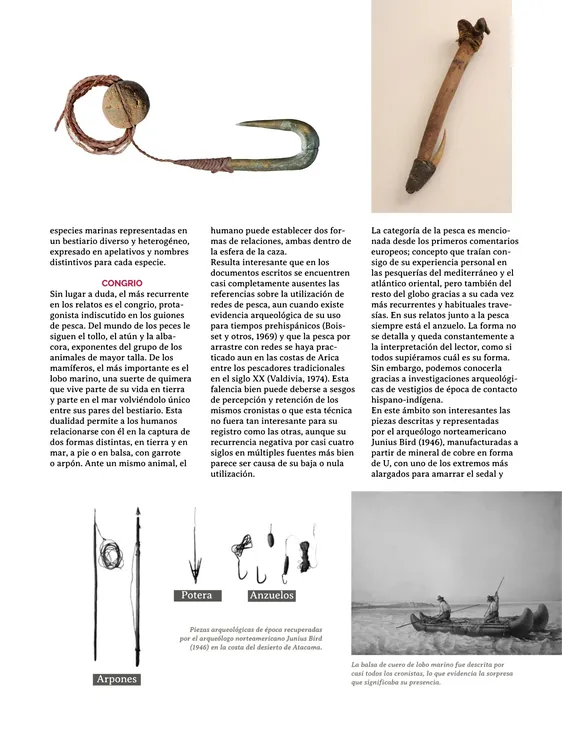 PAGINAS IN SITU 59 MEDIA25