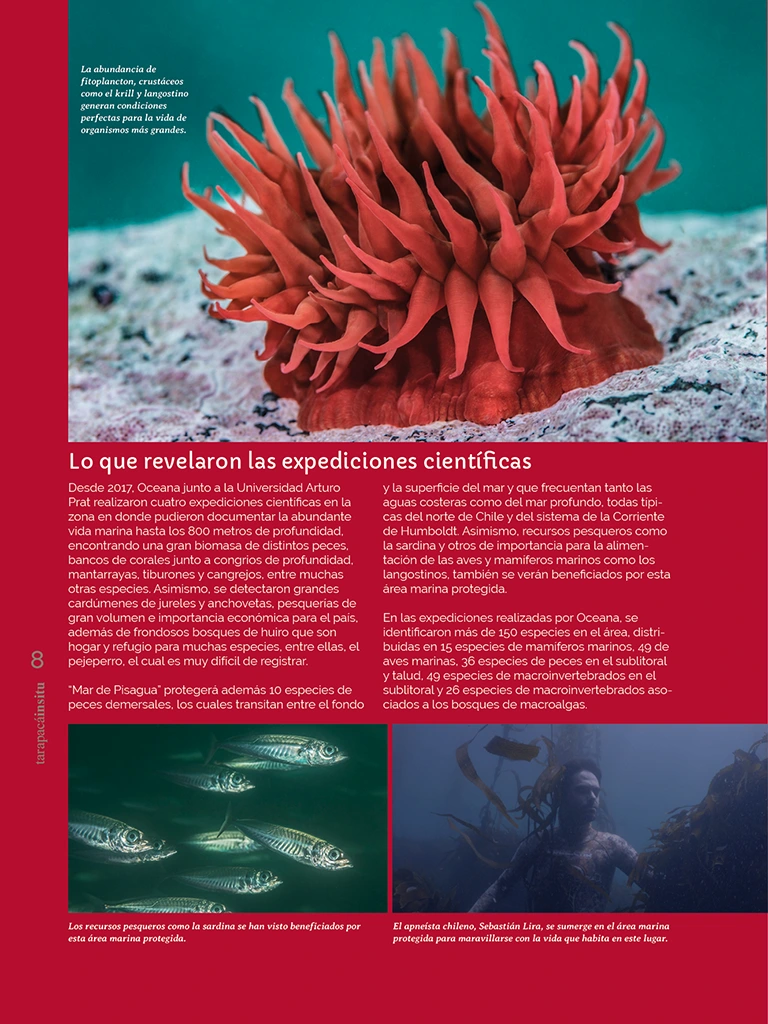 PAGINAS INSITU 73 MEDIA8