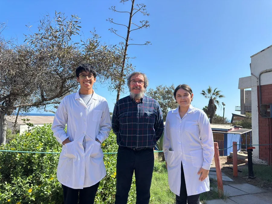 INVESTIGADORES