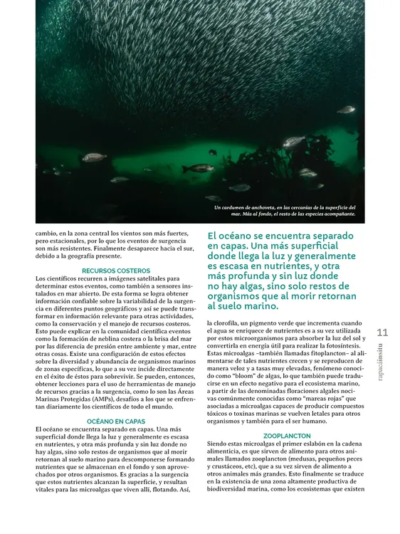 PAGINAS INSITU 72 PNG11