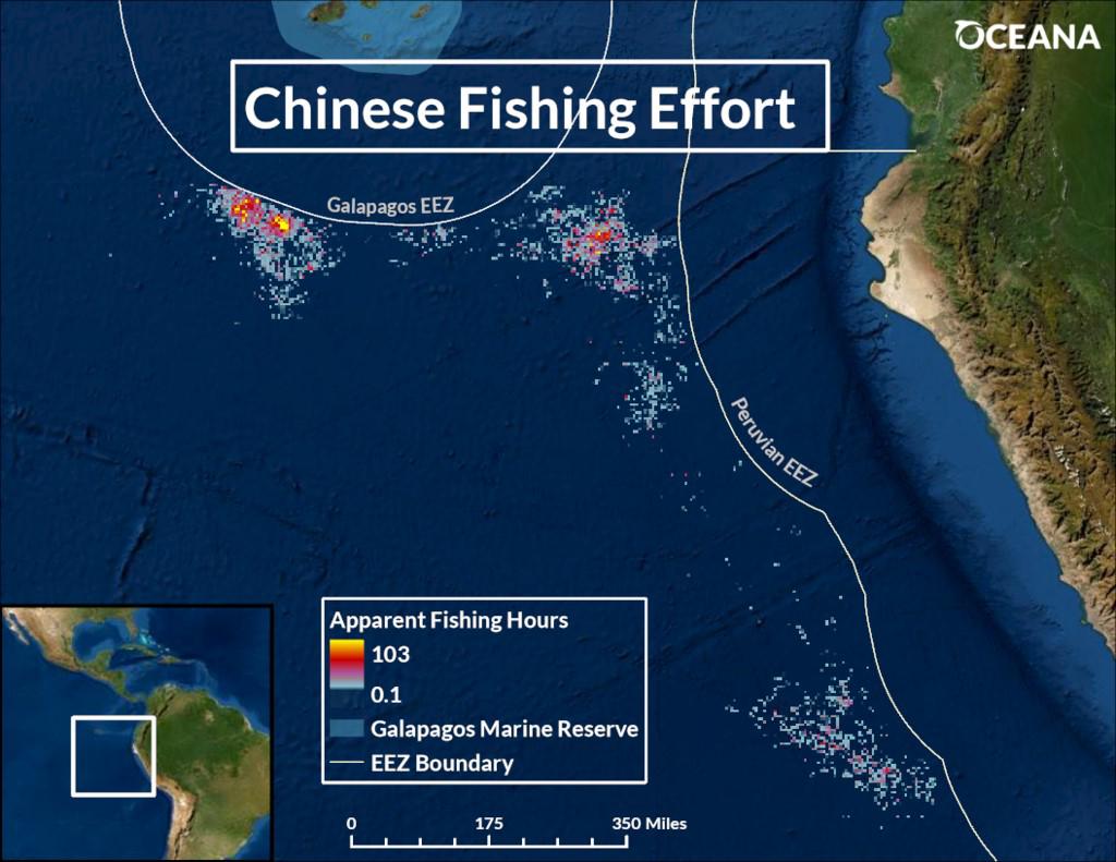 Flota china