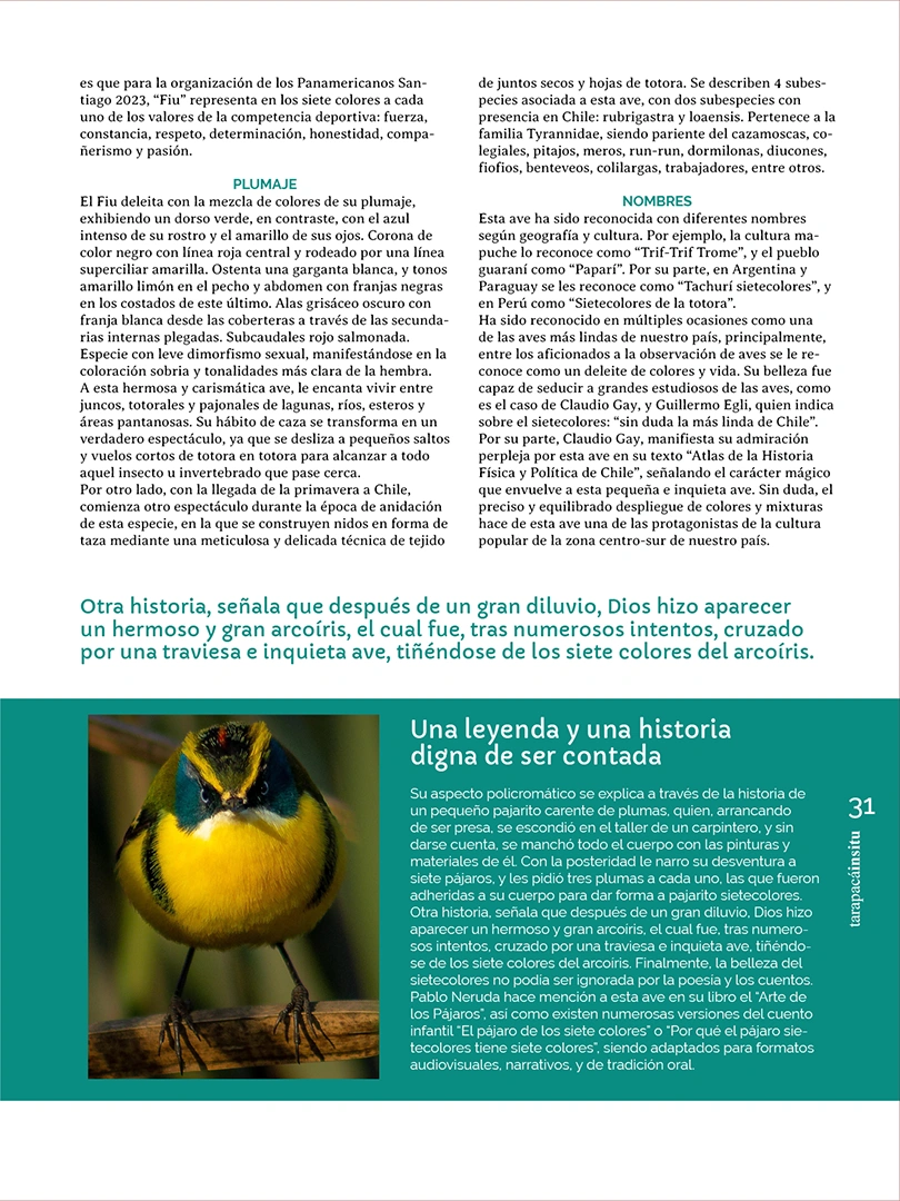 Revista Tarapacá Insitu ed 55 - Página 31
