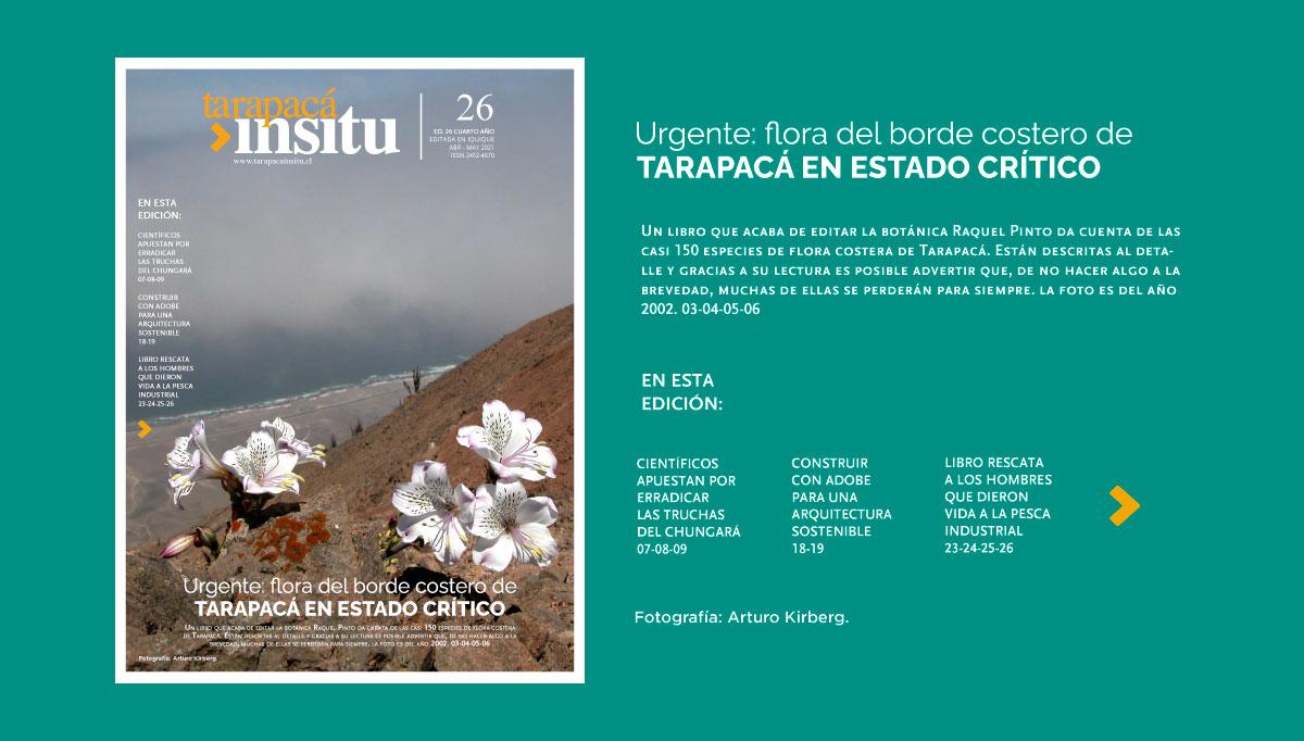 TIed26-portada-final-horizontal