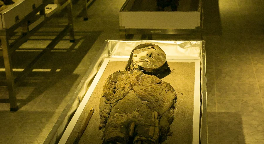 Chinchorro Museo 2017 - 048 recortada