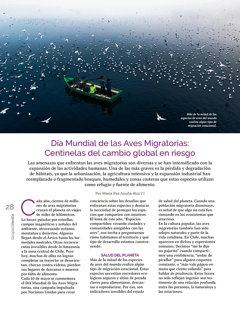 PAGINAS INSITU 73 MEDIA28
