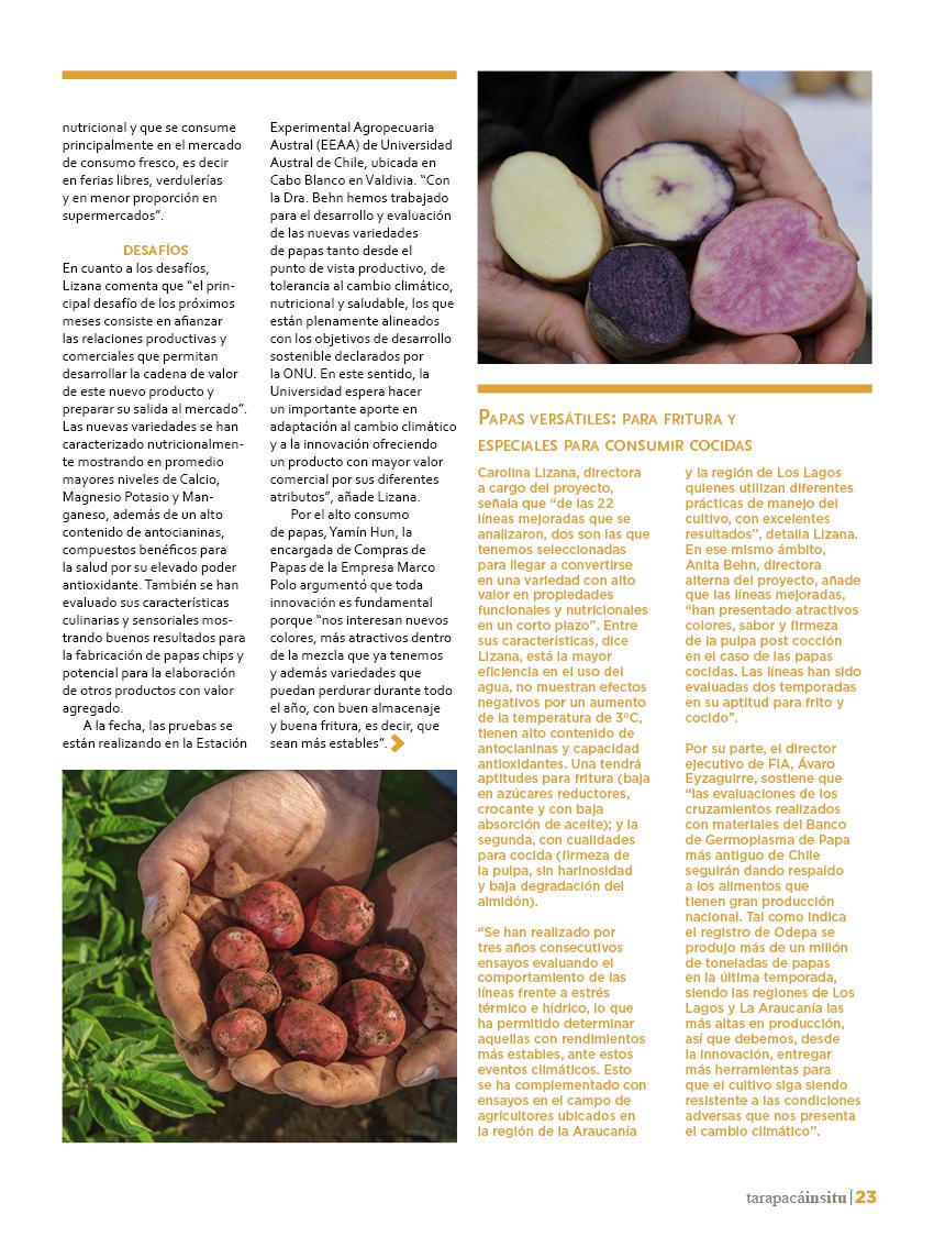 tarapacainsitued3923