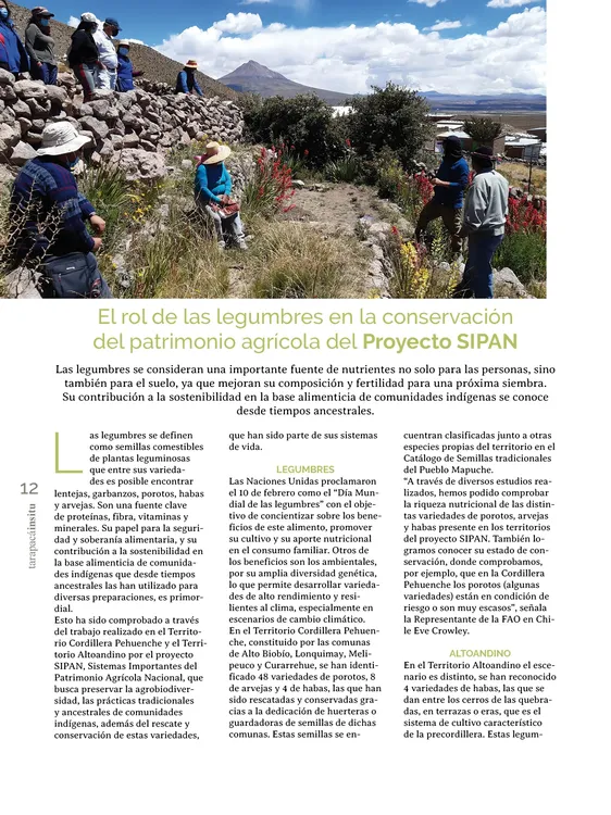 PAGINAS IN SITU 59 MEDIA12