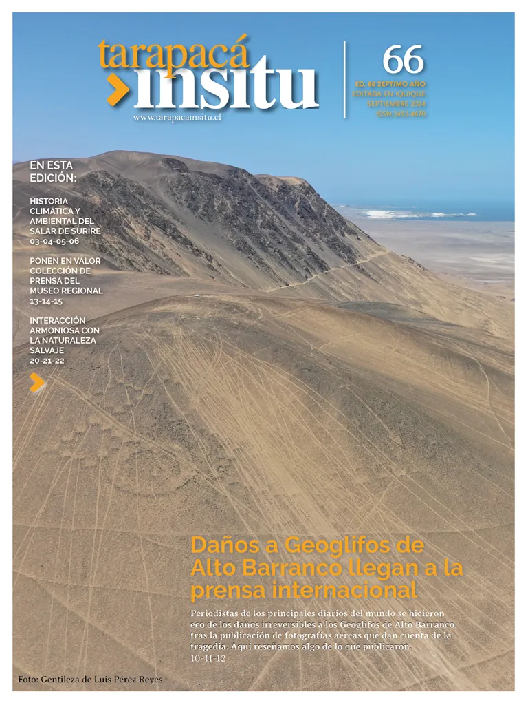 PAGINAS IN SITU 66  PNG