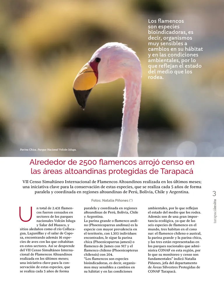 PAGINAS INSITU 71 MEDIA3