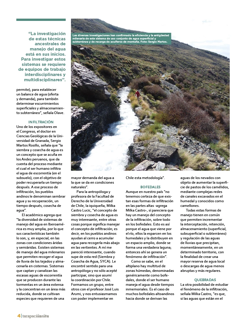 Revista Tarapacá Insitu Edición 38 - P4