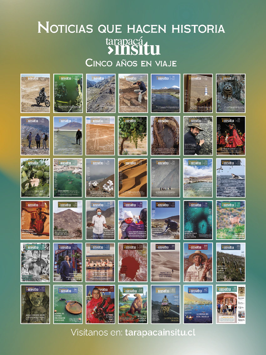 Revista Tarapacá Insitu ed50 - Página 52