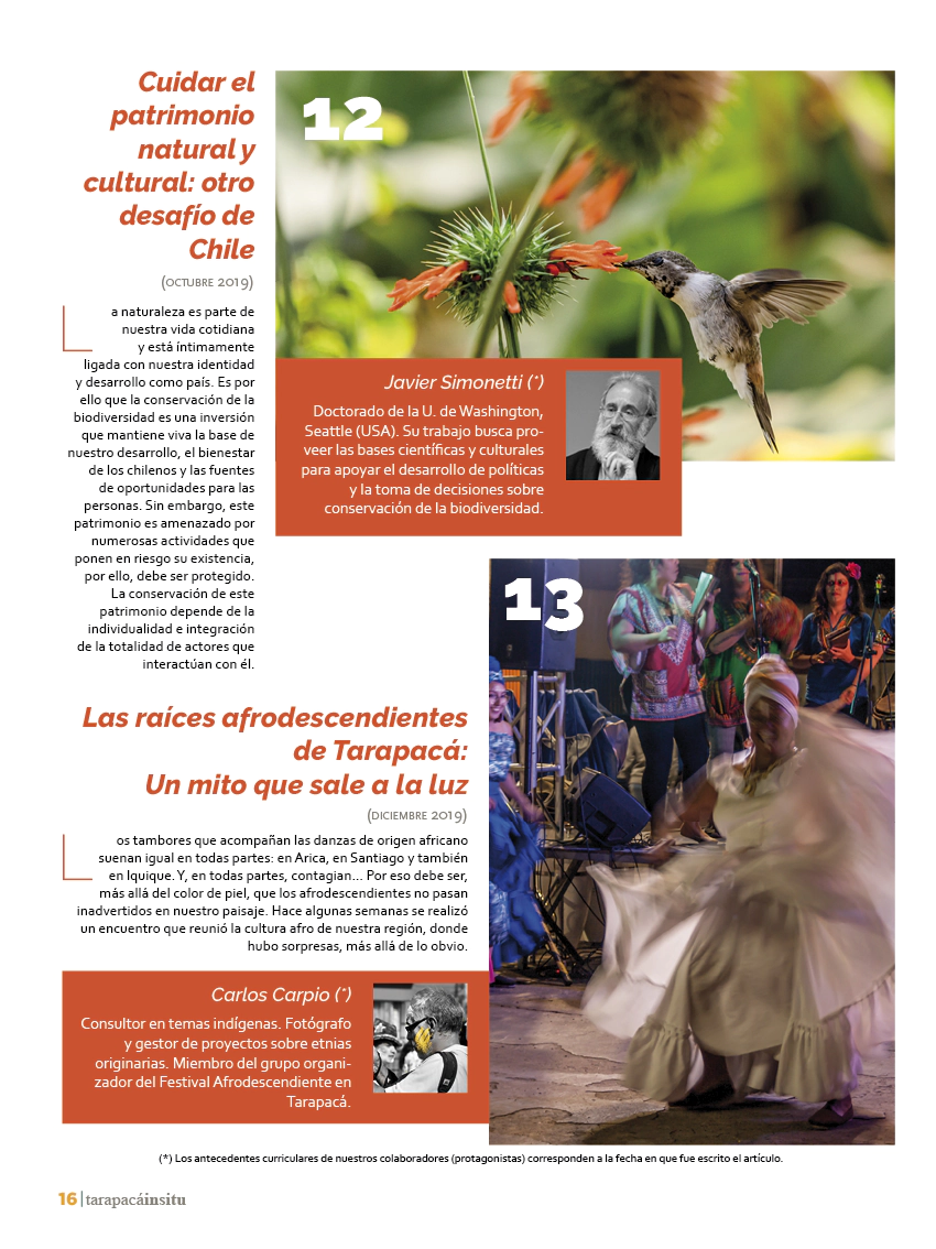 Revista Tarapacá Insitu ed50 - Página 16