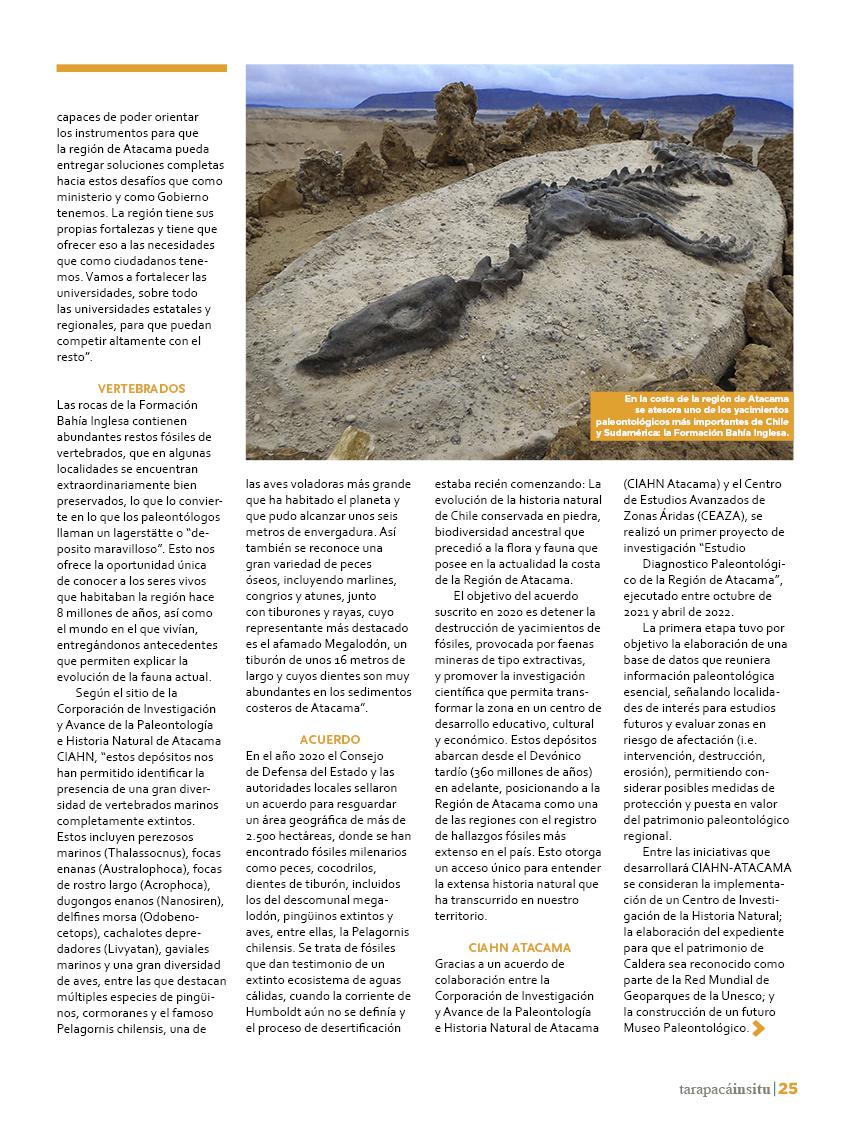 Revista Tarapacá Insitu Ed46 - Página 025