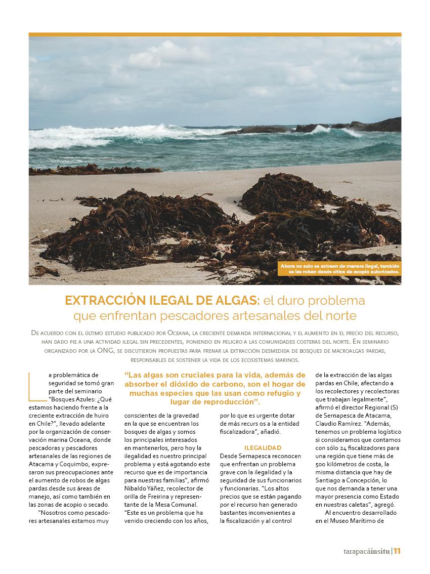 Revista Tarapacá Insitu Ed44 - Página11