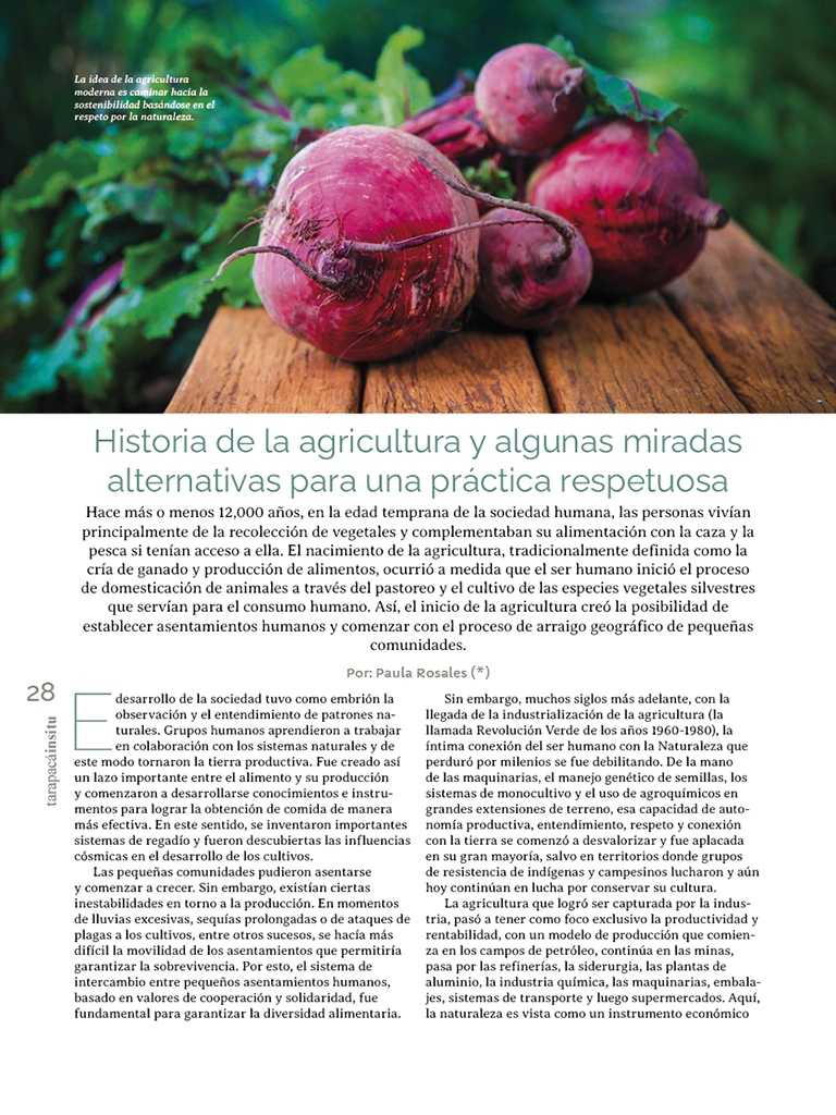 Revista Tarapacá Insitu ed52 - Página 28
