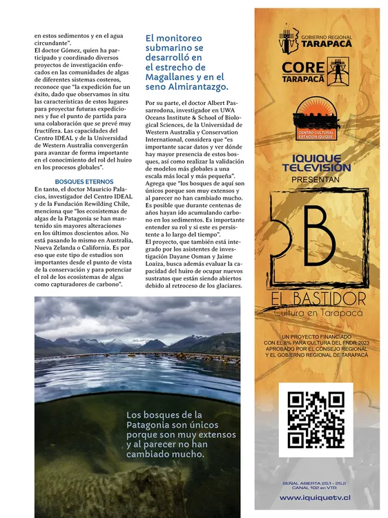 PAGINAS IN SITU PNG19