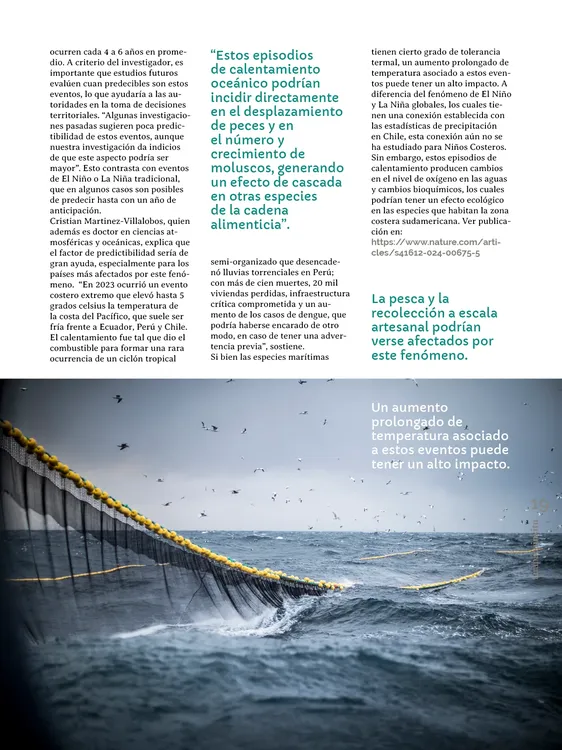 PAGINAS IN SITU 63 BAJA19