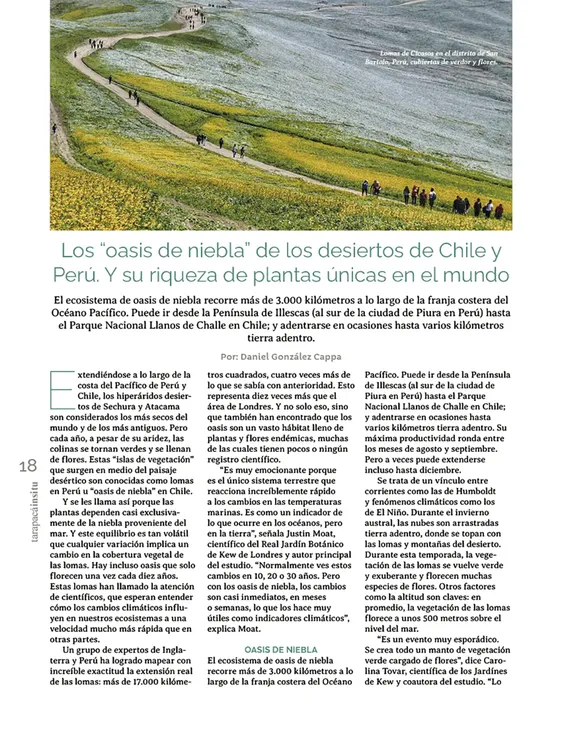 Tarapacá Insitu ed53 - Página 18