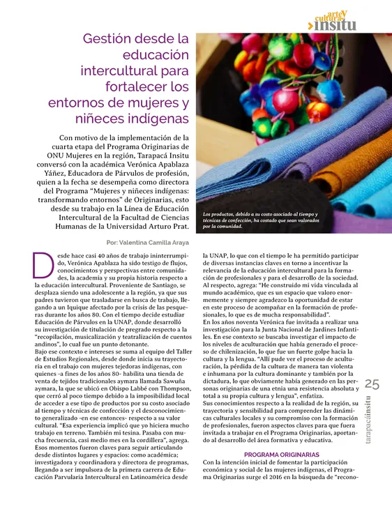 PAGINAS IN SITU 63 BAJA25