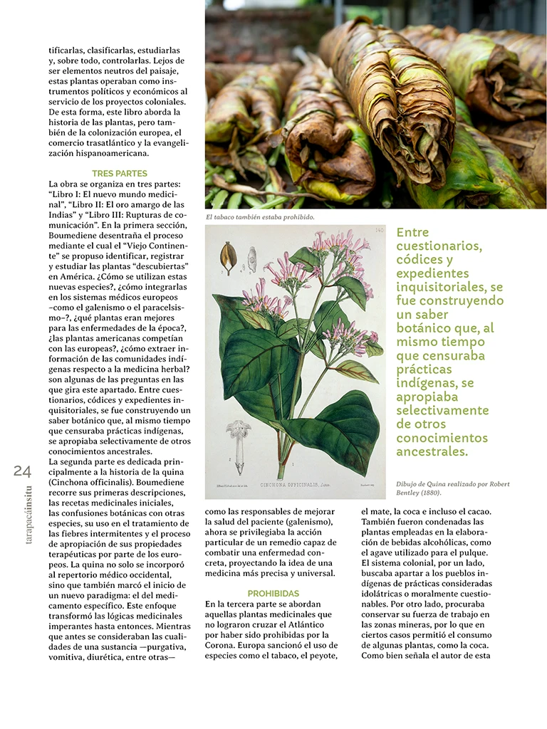 PAGINAS INSITU 73 MEDIA24