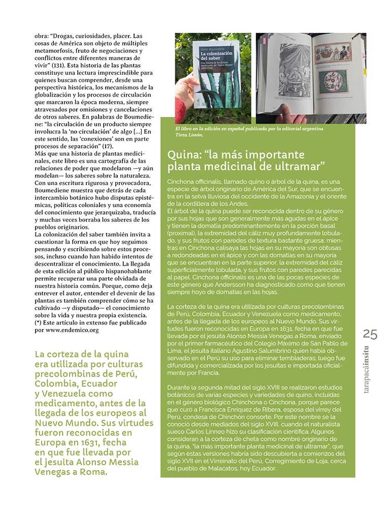 PAGINAS INSITU 73 MEDIA25