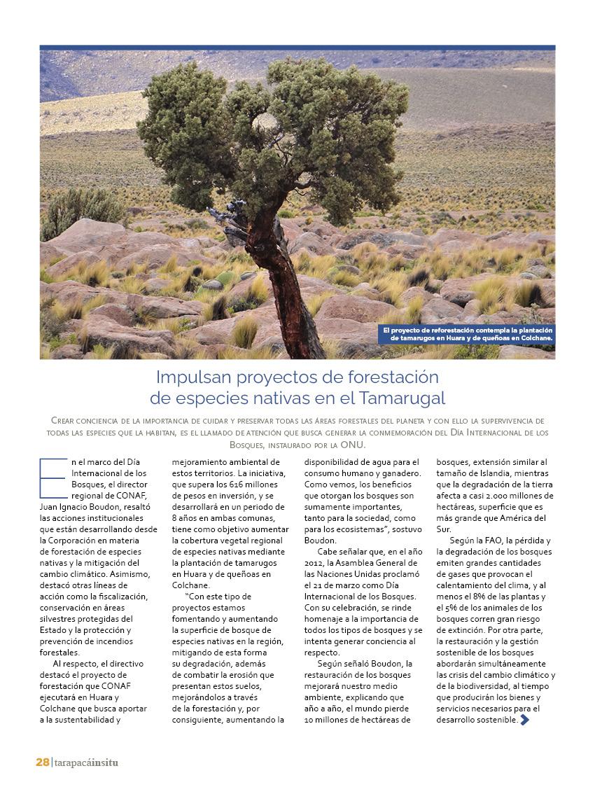 tarapacainsitued3728