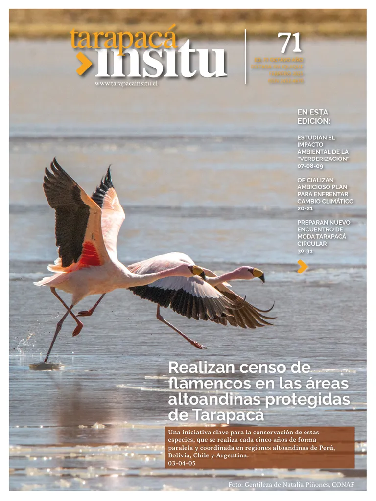 PAGINAS INSITU 71 MEDIA