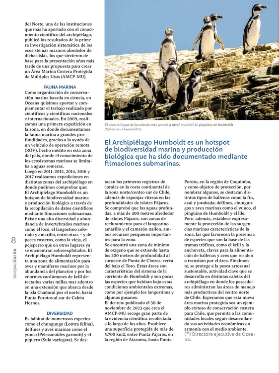 PAGINAS IN SITU PNG8