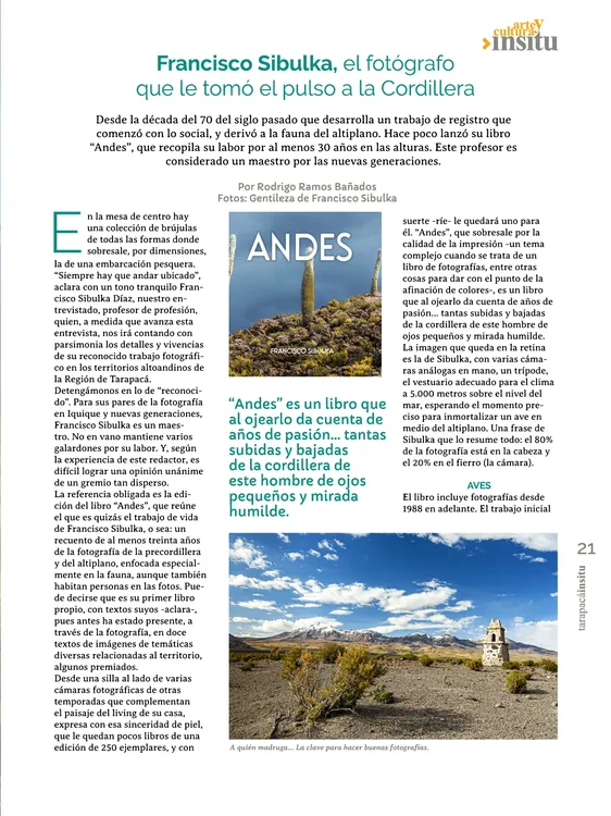 PAGINAS IN SITU 56 IMPRENTA21