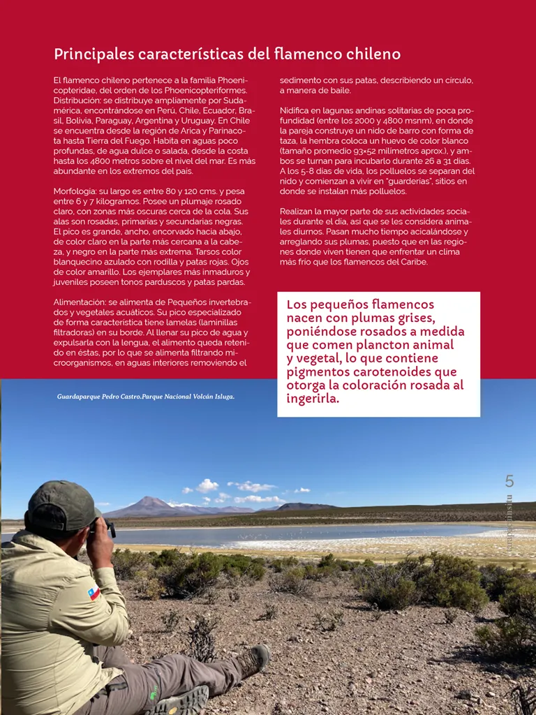 PAGINAS INSITU 71 MEDIA5