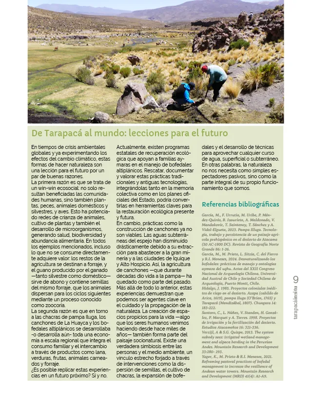 PAGINAS INSITU 78 PNG9